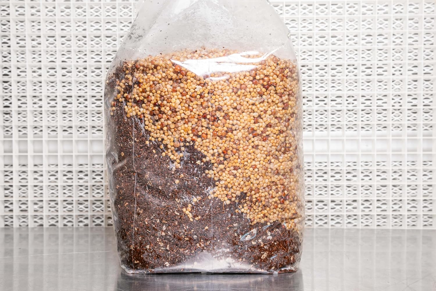 91JmLrb9NlL._AC_SL1500_.jpg All in One Coir Mushroom Grow Bag | OMRI Certified for Organic Use | Grow Over 1-2 lbs Fresh, 1.5-3.25 oz Dry | Coir, Vermiculite, Gypsum | for Use in Monotubs or Blocks (5 Pound, 2 Bags) - Image 3