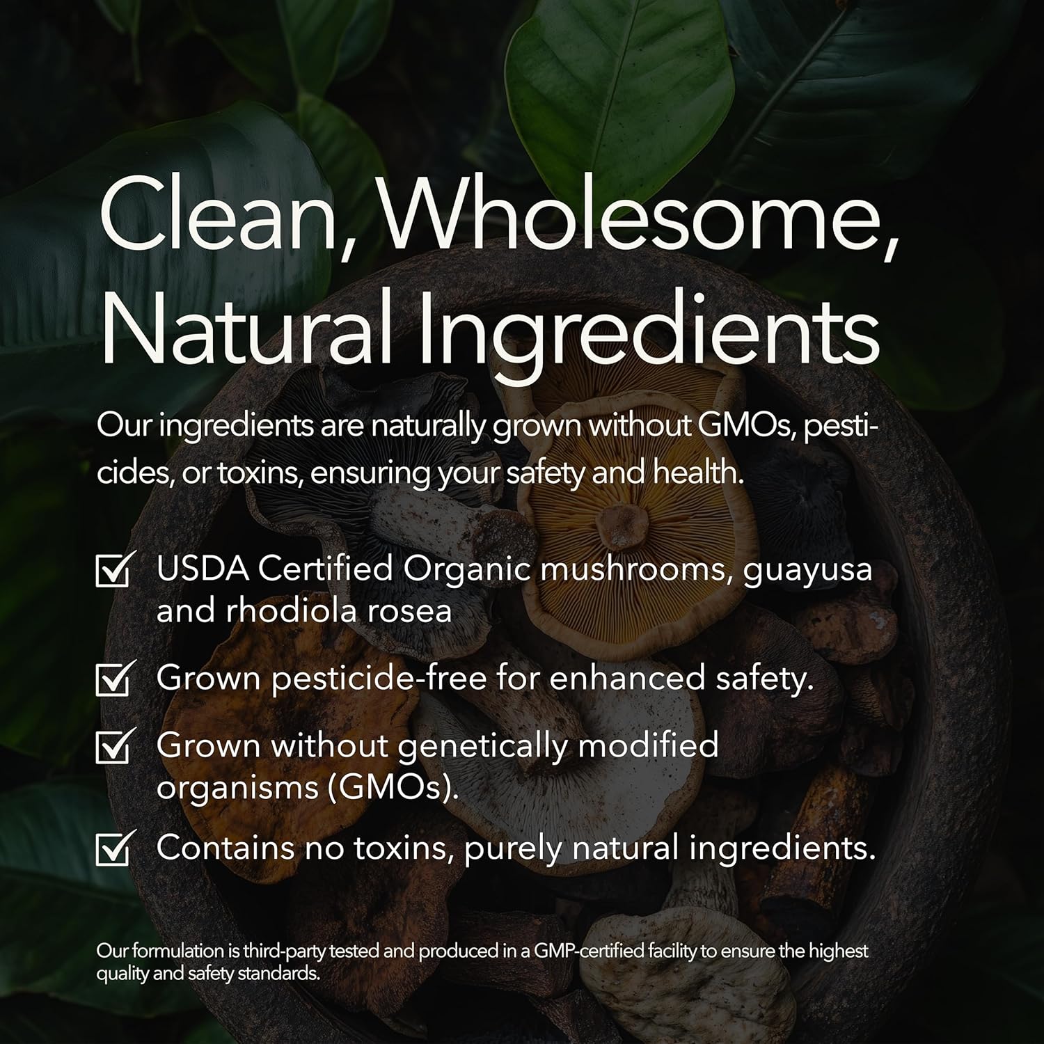 91LDJkbDz2L._AC_SL1500_.jpg Organic Mushroom Supplement with Cognitive Nootropic Mushroom Blend - Lion’s Mane, Cordyceps, Reishi, Chaga, Maitake + Amatea Max, Rhodiolife Rhodiola Rosea, L-Theanine + B-Vitamins, 30-Day Supply - Image 8