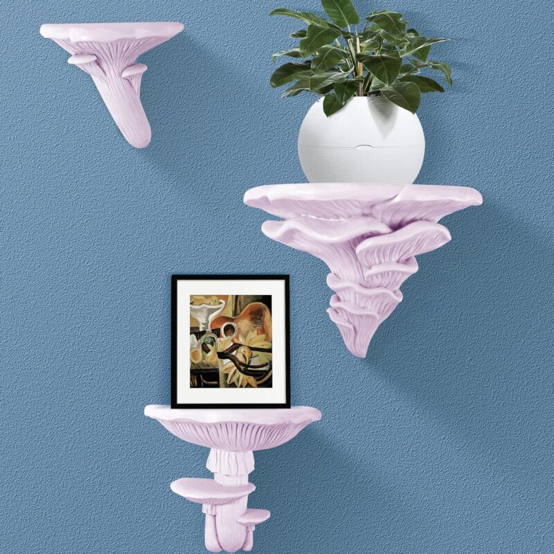 UITWMKTG 3 Pack Mushroom Wall Shelf,Decorative Mushroom Floating Shelves Bedroom Decor Shelf for Photo Frame Stand,Books,Potted Plant,Toys(Mixed Sizes Pink)