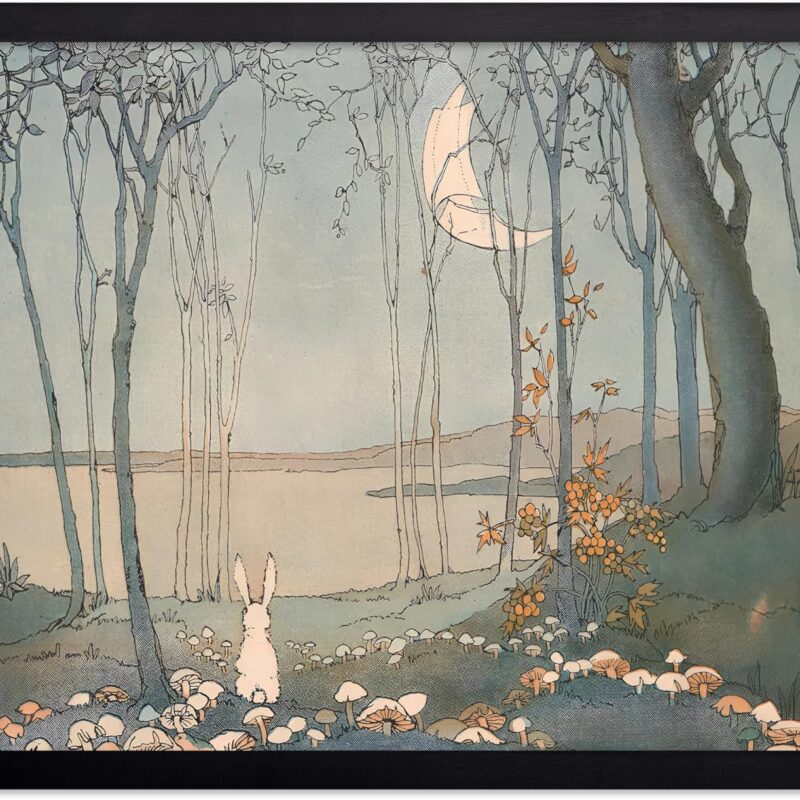 Poster Master New Moon Poster - Retro Bunny in The Woods Print - Mushroom Art - Crescent Moon Art - White Rabbit Art - Fairytale Art - Aesthetic Kid's Room or Nursery Decor, 16x20 Black Framed