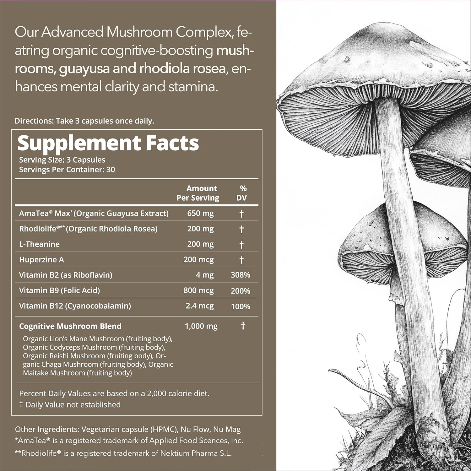 91i0LqdEu3L._AC_SL1500_.jpg Organic Mushroom Supplement with Cognitive Nootropic Mushroom Blend - Lion’s Mane, Cordyceps, Reishi, Chaga, Maitake + Amatea Max, Rhodiolife Rhodiola Rosea, L-Theanine + B-Vitamins, 30-Day Supply - Image 4