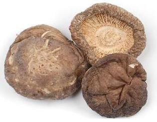 Dried Shiitake Mushroom Premium Grade 310 Gram
