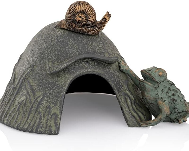 Toad House with Snail