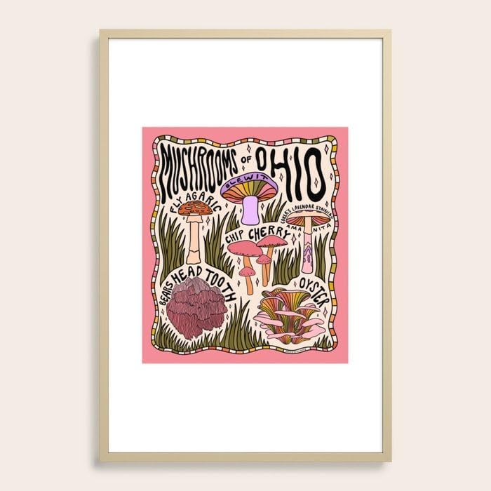 Society6 Mushrooms Of Ohio by Doodle By Meg-Framed Art Print (Modern Maple - Large 24 x 36-26x38)
