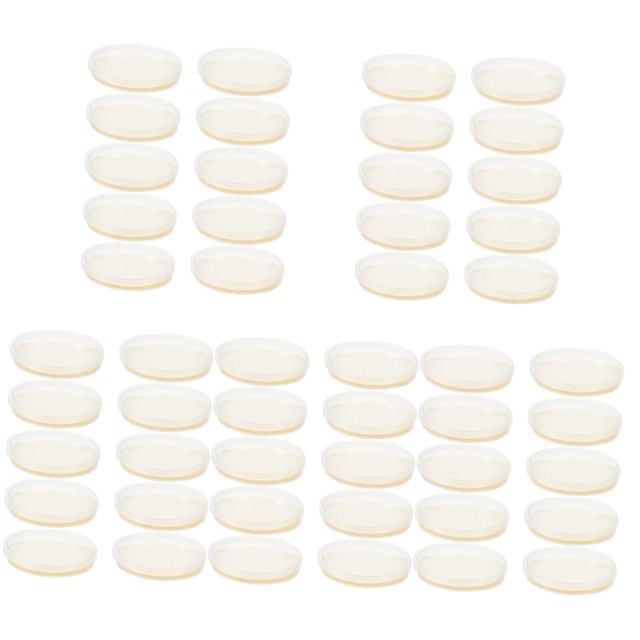 51azD1hTGL._SL1243_.jpg Gatuida 5sets Portable Nutrient Agar Petri Dishes Agar Plates for Tissue Fair Projects 10pcs*5 - Image 4