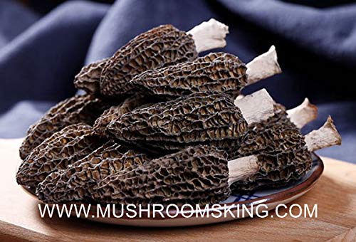 Premium A+ Grade Dried Wild Morel Mushrooms (Morchella) (4OZ pack,113g)