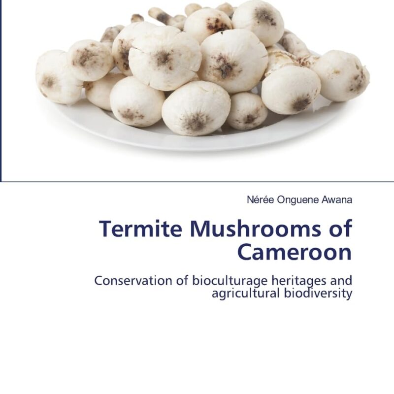 Termite Mushrooms of Cameroon: Conservation of bioculturage heritages and agricultural biodiversity