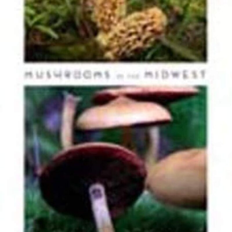 Mushrooms of the Midwest
