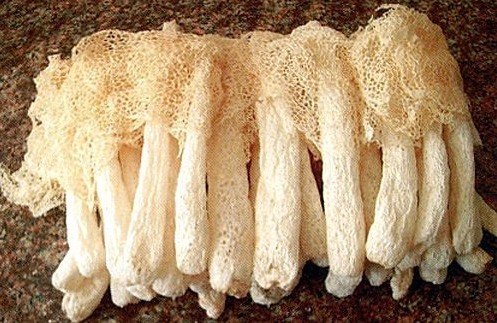 8 Ounce (227 grams)Natural Bamboo Fungus Dried Mushroom from Yunnan China （中国云南）