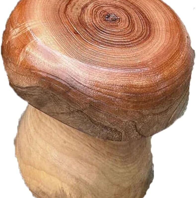 Natural Shape Tree Stump Stool 10"x10"x15"H Mushroom End Side Stump Plant Table,Nature Wood Finish,Outdoor Garden Mushroom Table Stool Statues， Natural Edge Side Table, Plant Stand (Size : 26x
