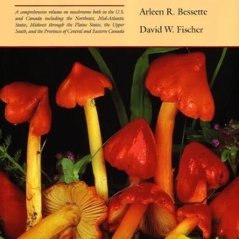 Mushrooms of Northeastern North America