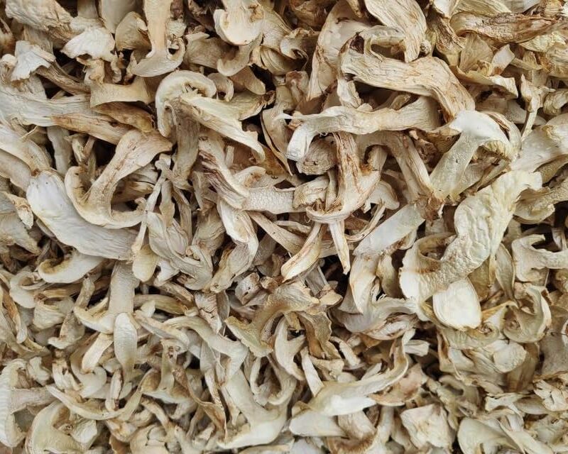 8 ounce (227 grams) Dried Matsutake Slices Mushroom Premium Grade