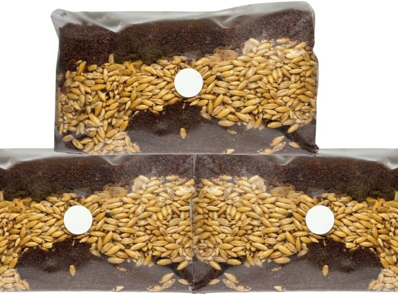 All-in-One Mushroom Grow Bags Kit with Injection Port and Filter (3-Pack) 9lbs of Sterilized Oat Grain & Substrate for Edible and Medicinal Mushrooms