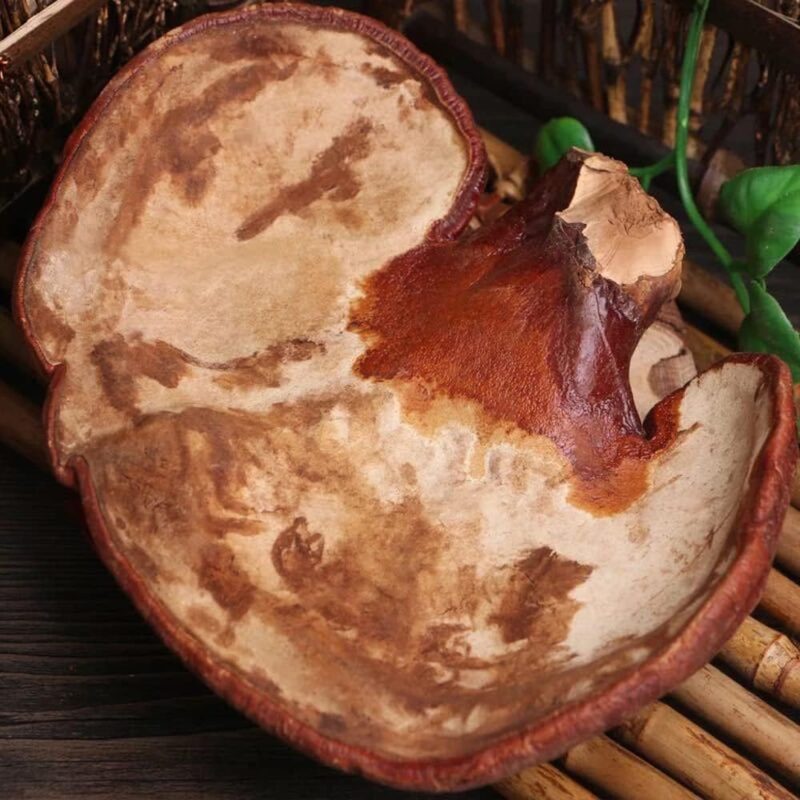 Dired Ganoderma Lucidum Lingzhi Ganoderma Lucidum Pieces Reishi Mushroom Slices,Ganoderma Mushroom (1000 Grams /2.20 lbs)