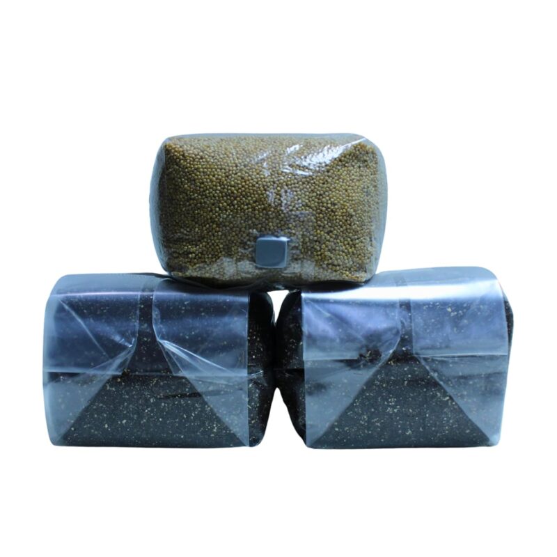 9 Pound Grow Kit for Growing Your Own Mushrooms | Montub Refill Kit