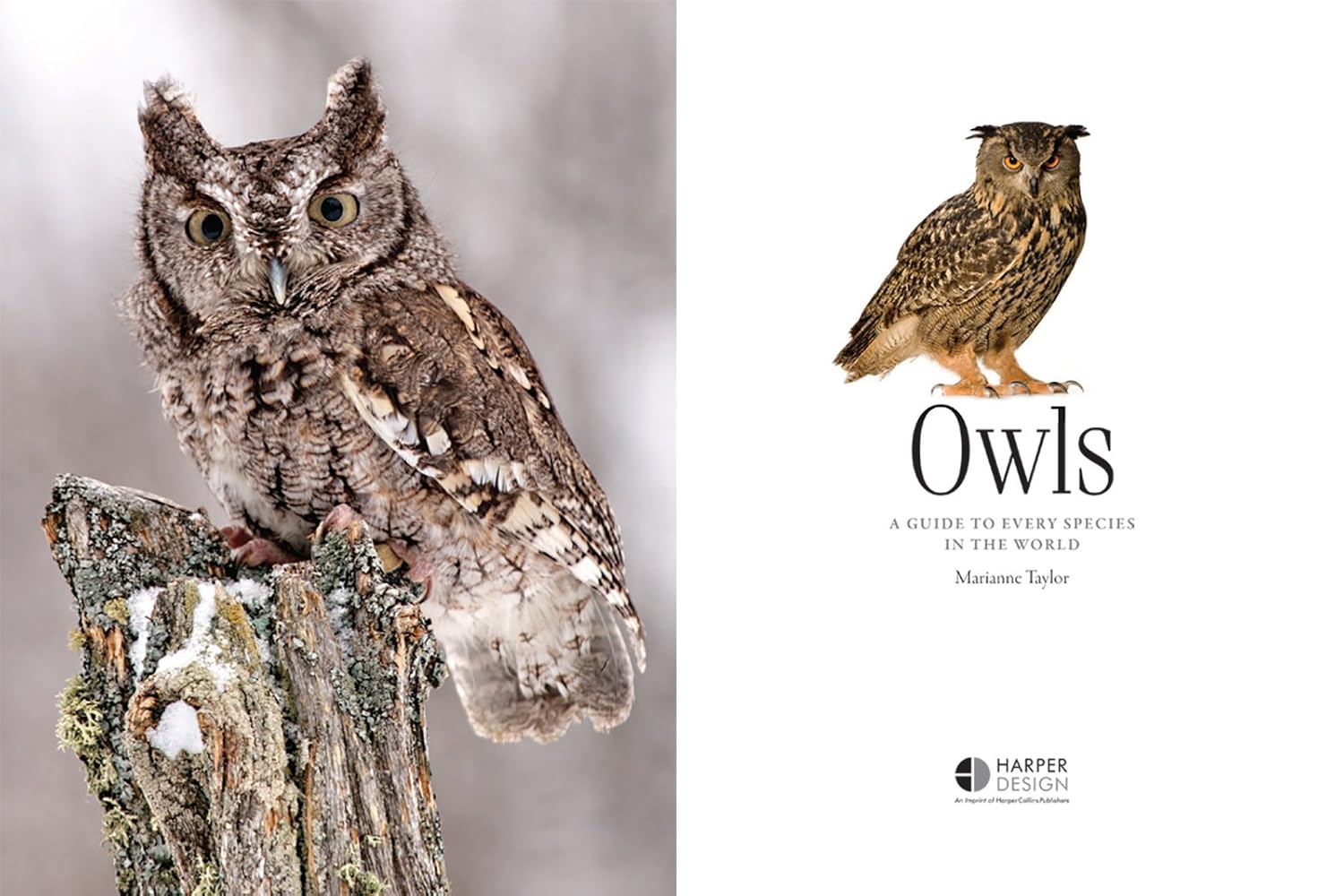 716XKuinIPL._SL1500_.jpg Owls: A Guide to Every Species in the World