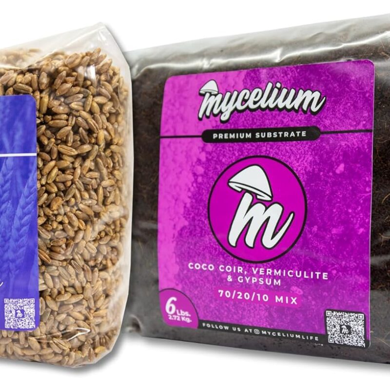 Mycelium Mushroom Growing Kit I CVG Substrate (Coco Coir, Vermiculite, Gypsum) with Rye Berries Grain I High Yield Proprietary Mix I Sterilized Mushroom Grow Bag for Starter & Pro Home Growers, 9lbs