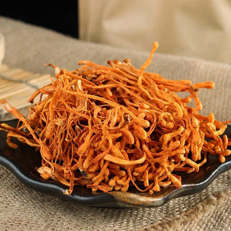 Cordyceps Flower Plum Flower Cordyceps Cordyceps Dried Flowers Cordyceps Mushroom Militaris/Chong Cao Hua/Cordyceps Herbal (1000grams)