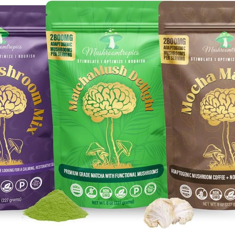 Mocha Madness Organic Mushroom Coffee, Matcha Mush Delight Alternative, and Dreamy Hot Cocoa Blend – Adaptogenic Lion's Mane, Reishi, and Chamomile for Focus, Energy, Digestion, Clarity, Immunity & Sl