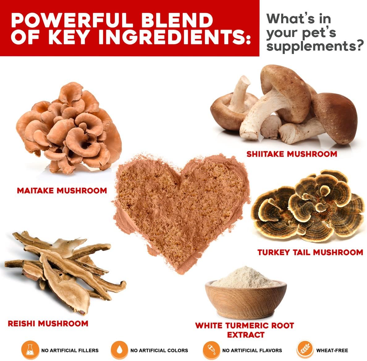 719-k3WZdSL._AC_SL1200_.jpg Turkey Tail Mushroom for Dogs Immune Support Bundled with Probiotic Nutrient Enhancer - Image 2