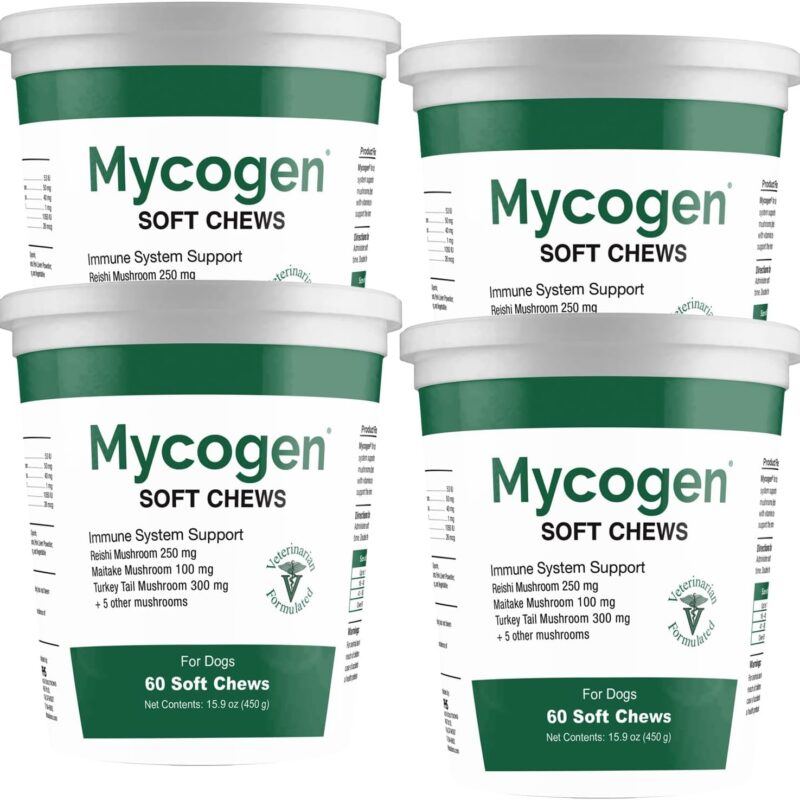Mycogen Soft Chew for Dogs - 8 Species Mushroom Blend for Critical Immune System Support- Turkey Tail, Reishi, Shiitake, Cordyceps, Black Tree Fungus-240 Tasty Soft Chews