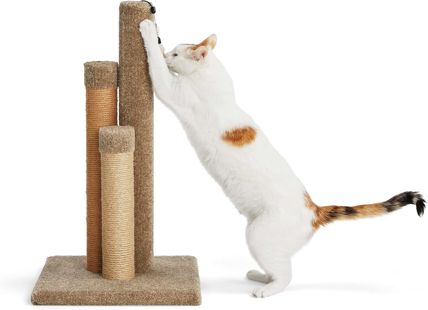 71EZ-A3ueXL._AC_SL1500_.jpg EveryYay Essentials Scratchin' The Surface 3-Sided Post with Scratcher Cat Toy, 26.5" H