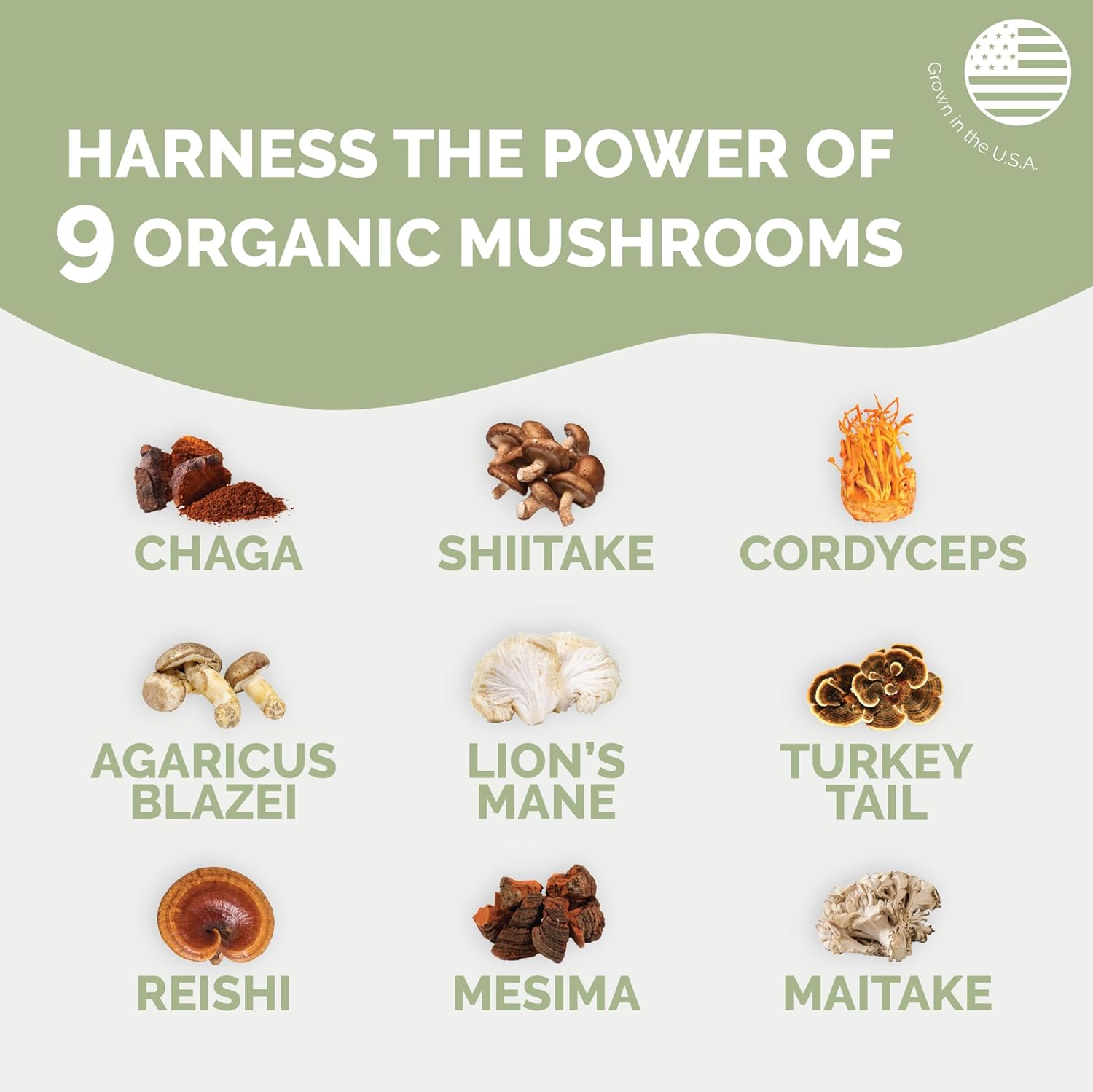 71EzZdGQoxL._AC_SL1500_.jpg Boosted Health 9 Mushroom Complex Immune Support Supplement | Lions Mane Reishi Shiitake | Purified Beta Glucan | Brain Nootropic for Focus and Memory | Mental Clarity | Certified Organic 60 Capsules - Image 3