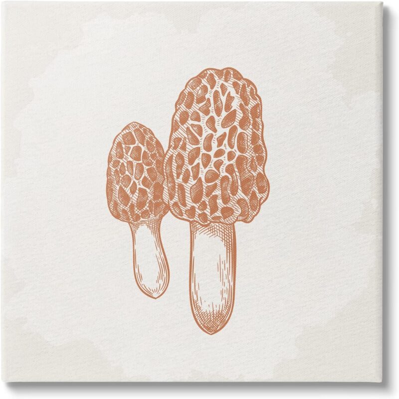Stupell Industries Detailed Mushroom Latin Study Drawing Canvas Wall Art, Design by Kim Allen