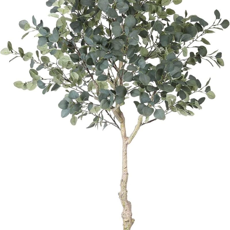 6ft Artificial Eucalyptus Tree in Plastic Nursery Pot, Tall Faux Eucalyptus Stems Fake Plants with 846 Silver Dollar Leaves, Artificial Trees for Office House Living Room Home Decor Indoor