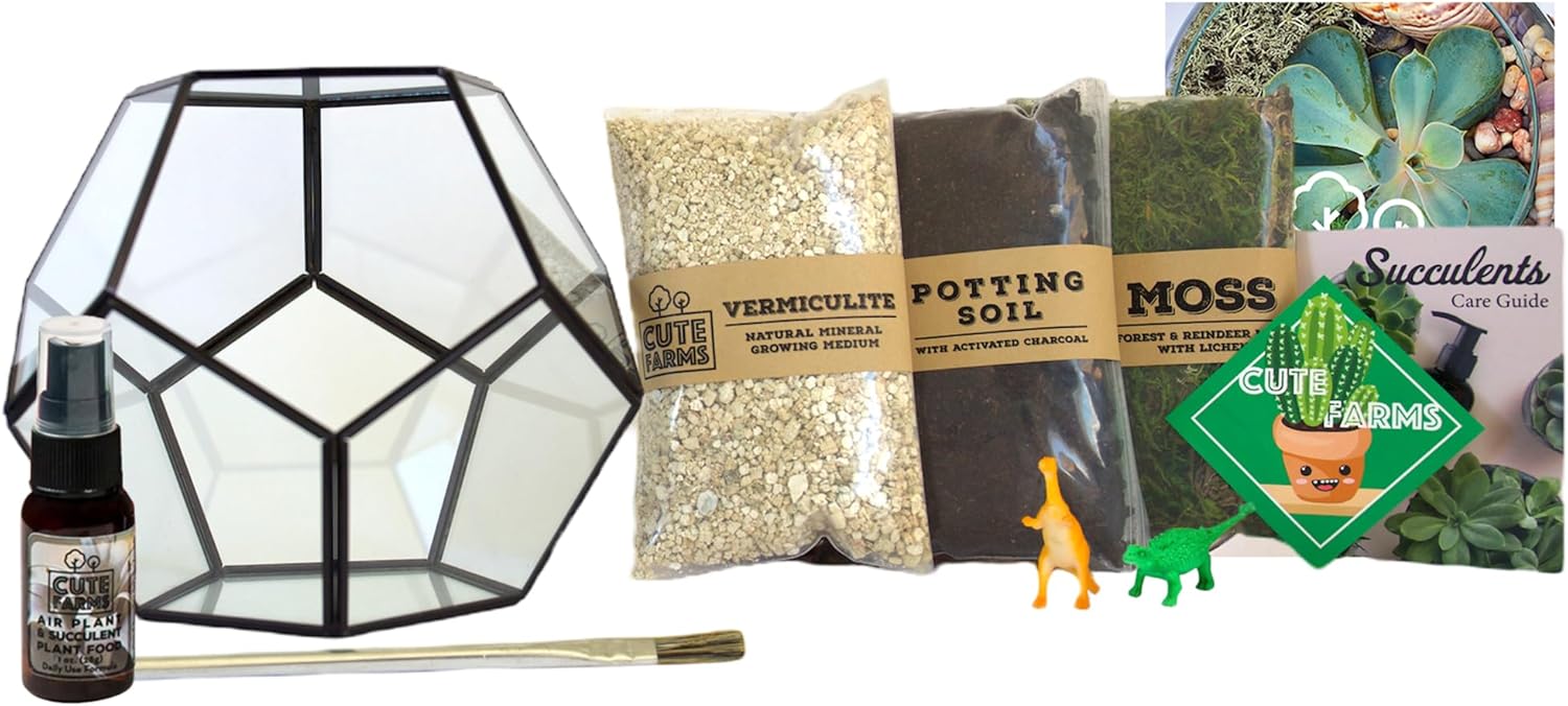 71I61m44xkL._AC_SL1500_.jpg Cute Farms Glass Terrarium Kit | Just Add Your Own Plants (Geometric Glass)