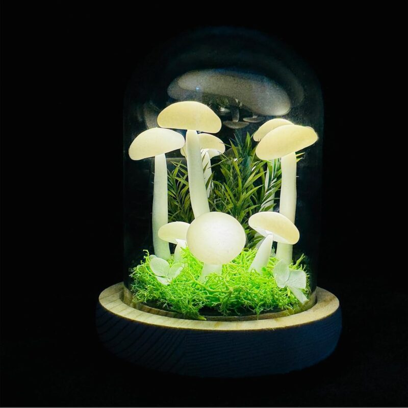 Handmade Magical Mushroom Night Light, Mystery and Fantasy Mushroom Lamp LED Light for Home and Party Decor, Unique Personalized Gifts for Girls Birthday Anniversaries and Christmas (USB)