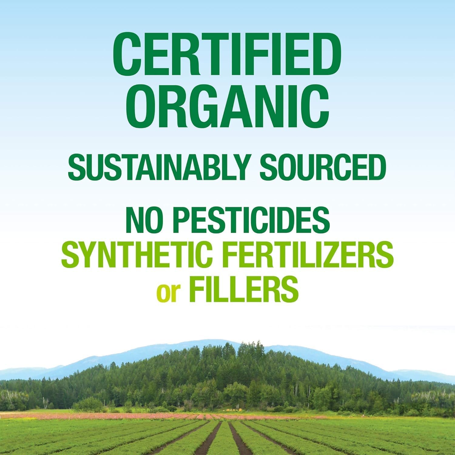 71R9bjITigL._AC_SL1500_.jpg Whole Earth & Sea from Natural Factors, Organic Fermented Protein & Greens, Vegan Whole Food Supplement, Chocolate, 1lb 9 Oz - Image 7