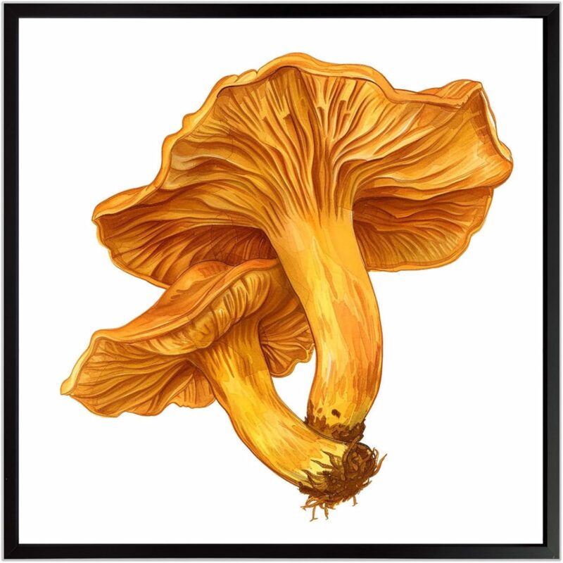 GUHKLSD Golden Chanterelle Mushroom Canvas Print - Elegant Wall Art for Home Decor - Botanical Painting for Kitchen or Living Room 12x12-Alloy frame