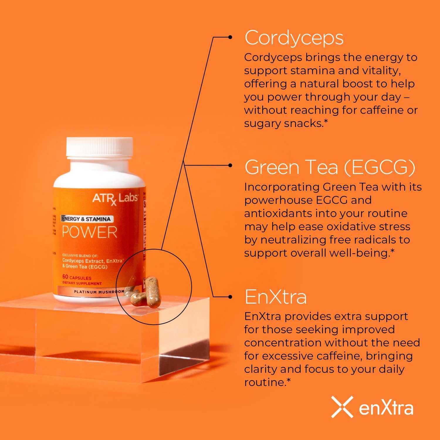 71V7RAdoU6L._AC_SL1500_.jpg Power: Energy & Stamina - Mushroom Supplement, with Cordyceps, Green Tea, and Proprietary Extract of Alpinia Galanga, May Improve Focus and Energy, Vegan & Gluten-Free, 60 Capsules - Image 3