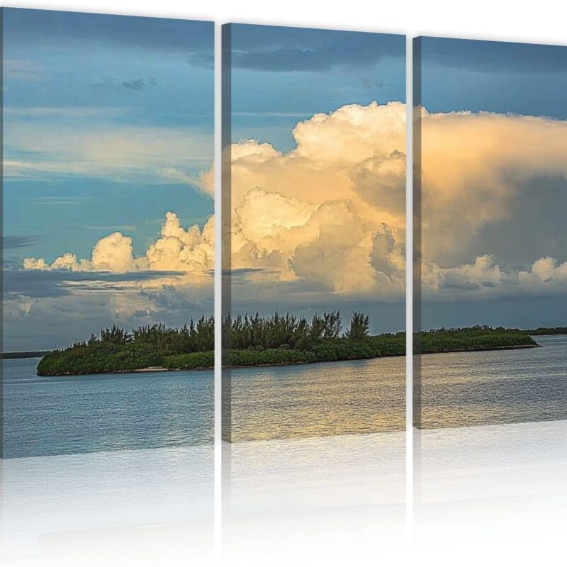 HGWAPONSATR 3 Panel Canvas Print Wall Art Closeup Mushroom sunset cloud N side Virginia Key island Miami Florida Poster Artwork for Living Room Bedroom Office Home Decor Ready to Hang 16x32 inches
