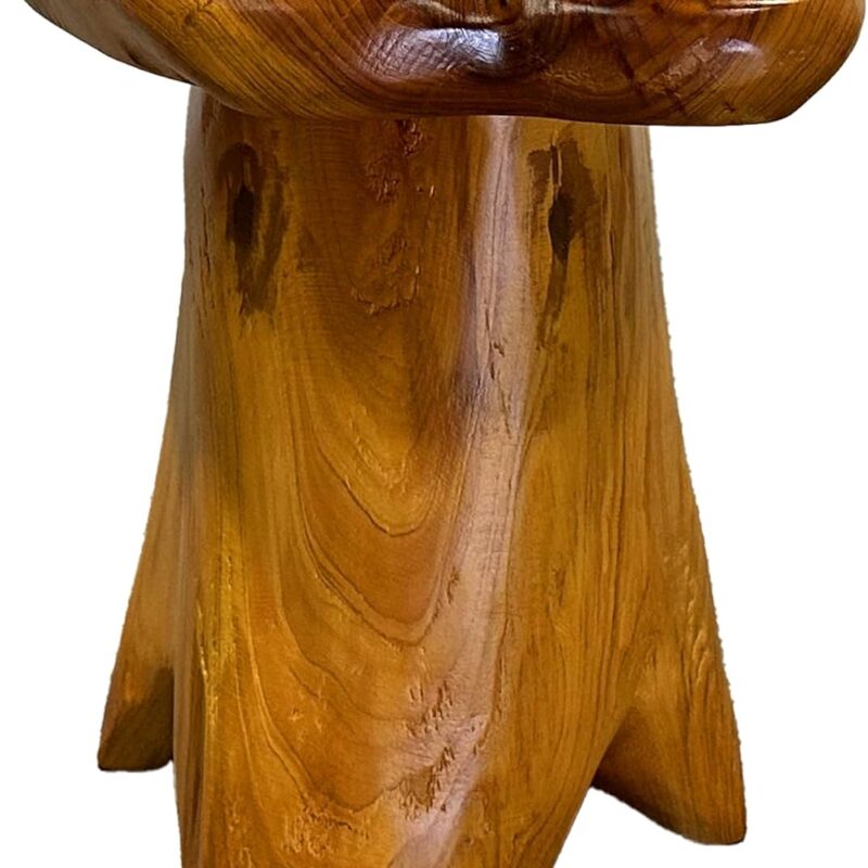 14.5" H Natural Tree Stump Stool, Live Edge Side Table for Living Room, Rustic Solid Wood End Table for Patio, Small Wooden Nightstand, Mushroom Style Stool,