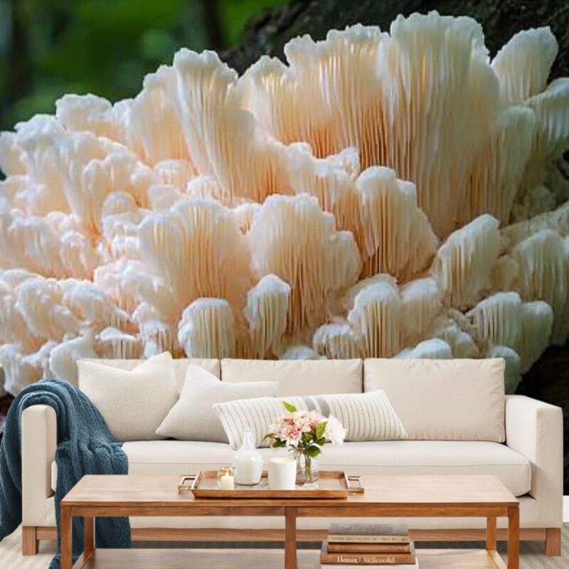 Wall Mural Large White Bear s Head Tooth Fungus Growing Fallen Dead Tree Forest Self-Adhesive Peel & Stick Wallpaper Removable Canvas Wall Sticker Decor for Bedroom Living Room Bathroom 69"x98"