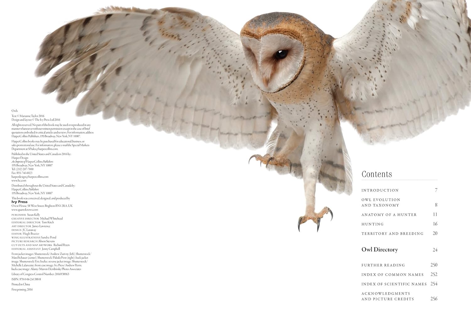 71fBH5FPzL._SL1500_.jpg Owls: A Guide to Every Species in the World - Image 2