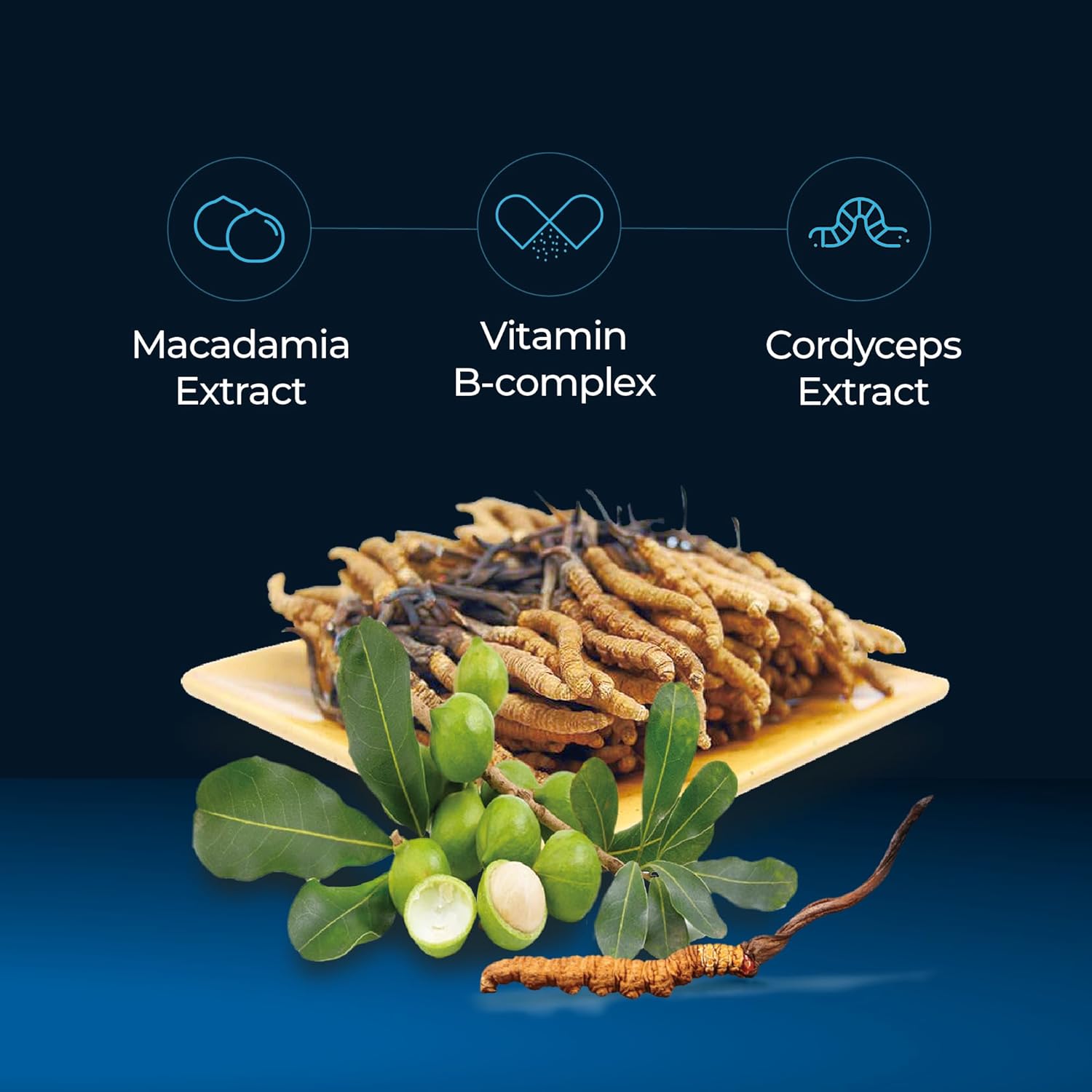71hYIhA4sFL._AC_SL1500_.jpg FINE JAPAN Cordyceps Plus: Premium Cordyceps Mushroom Extract and Macadamia Blend - Smart Drops Adaptogenic Mushrooms, Organic Mushroom Supplement for Energy & Immunity, Liquid Cordyceps (Pack of 20) - Image 3