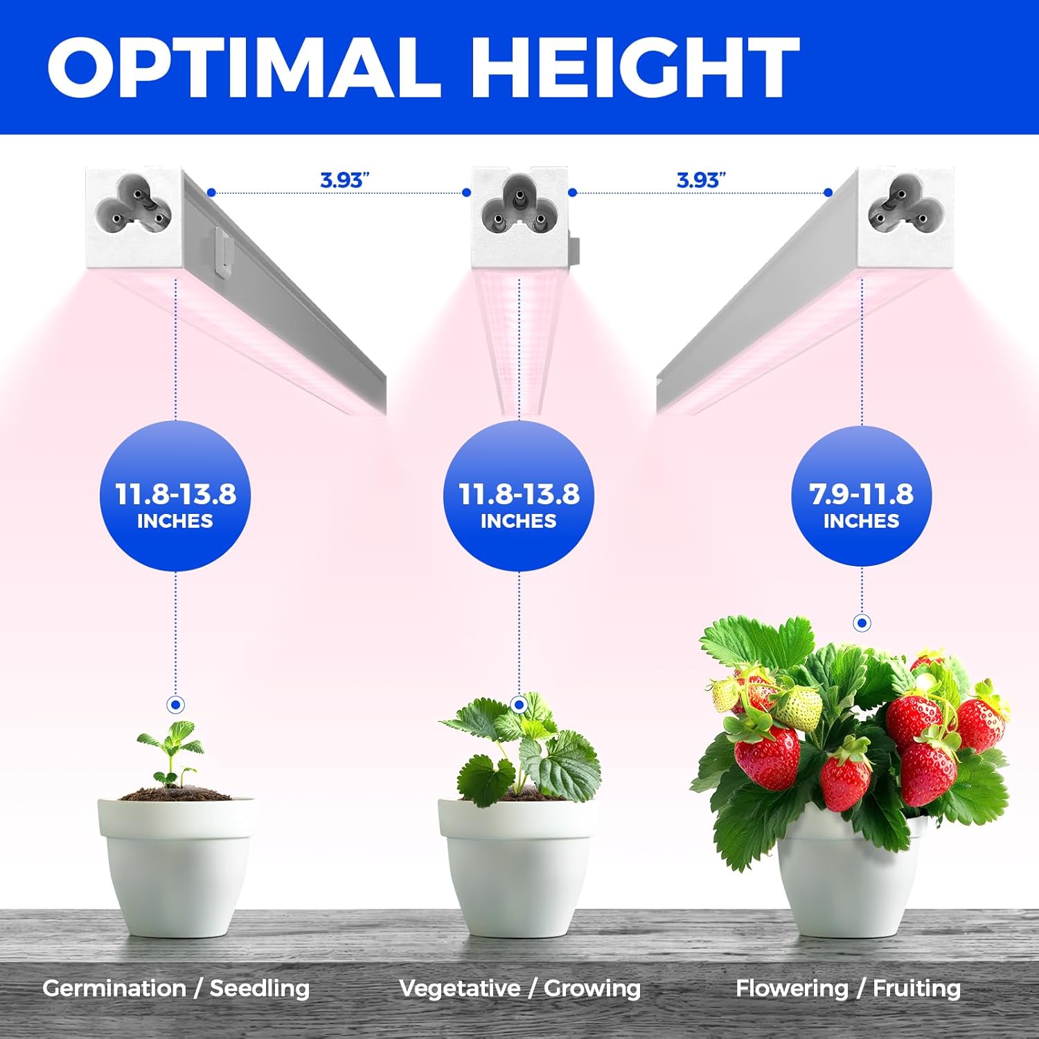 71haZOTxsyL._AC_SL1500_.jpg Barrina Grow Lights for Indoor Plants, Full Spectrum Sunlight, 1ft Plant Light for Indoor Growing, LED Grow Light Bulbs, T5 Grow Light Strip, Plug and Play, Pinkish White, 8-Pack - Image 3