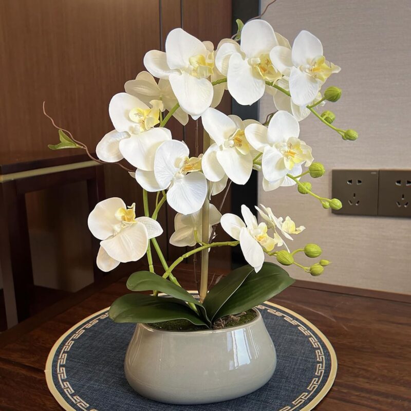 Small Potted Plant Artificial Moth Orchid, Realistic Faux Flowers with Ceramic Planter, Indoor Lifelike Fake Plants for Home Office Room Decor(White)