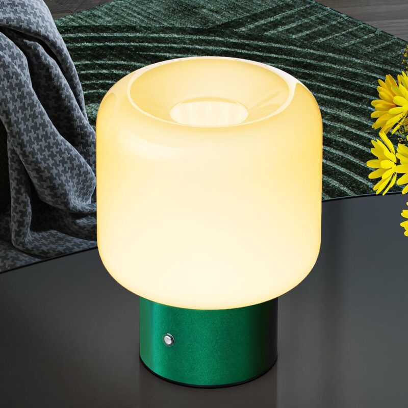 FANHAO Touch Bedside Table Lamp, Portable Cordless Rechargeable Mushroom Lamp with Opal Glass Lamp Shade, 3-Way Dimmable, 4000mAh Battery Operated, Mid Century Retro Small Lamp for Home Decor & Gifts