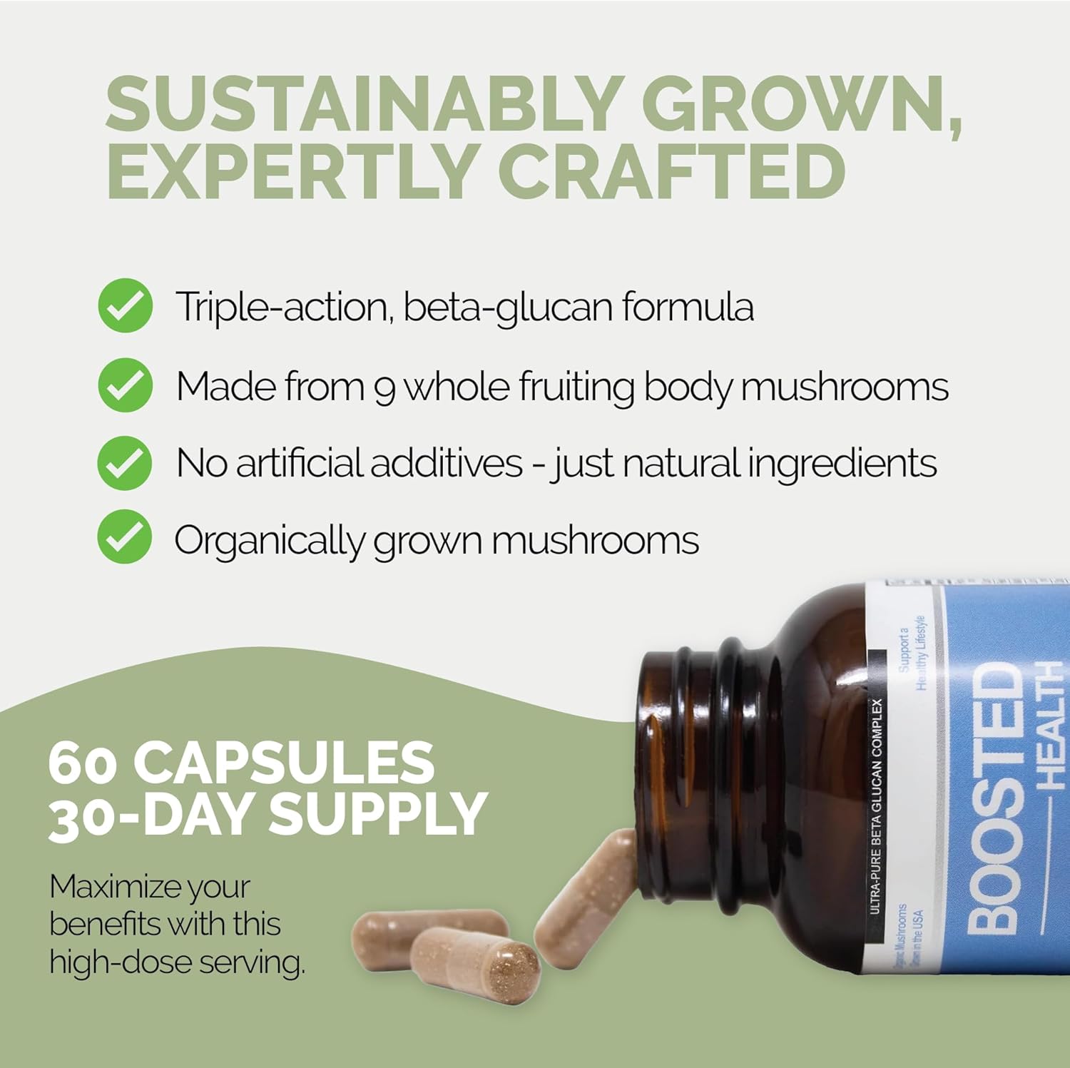 71jAQhGKO8L._AC_SL1500_.jpg Boosted Health 9 Mushroom Complex Immune Support Supplement | Lions Mane Reishi Shiitake | Purified Beta Glucan | Brain Nootropic for Focus and Memory | Mental Clarity | Certified Organic 60 Capsules - Image 6
