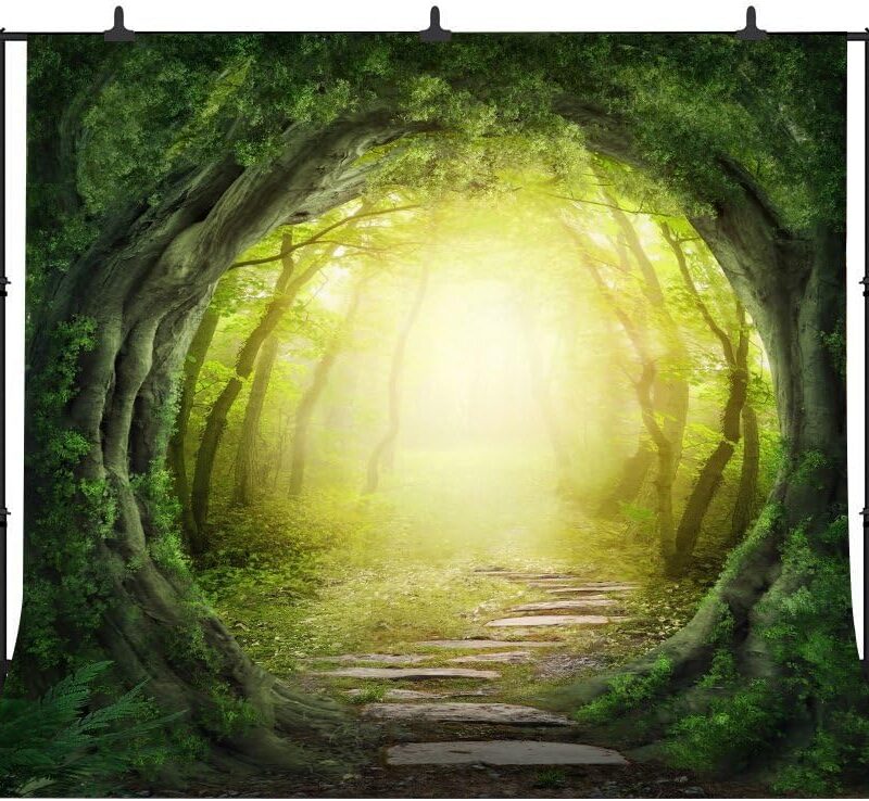 10x10ft Dreamy Magical Backdrop Dream Fantasy Forest Photography Video Studio Photo Backdrop Props FH121