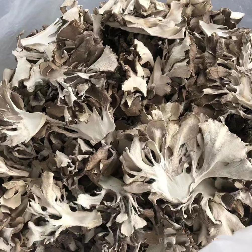 71js92KsFL._AC_SL1003_.jpg Maitake Mushroom Huishuhua (500g(17.64oz))