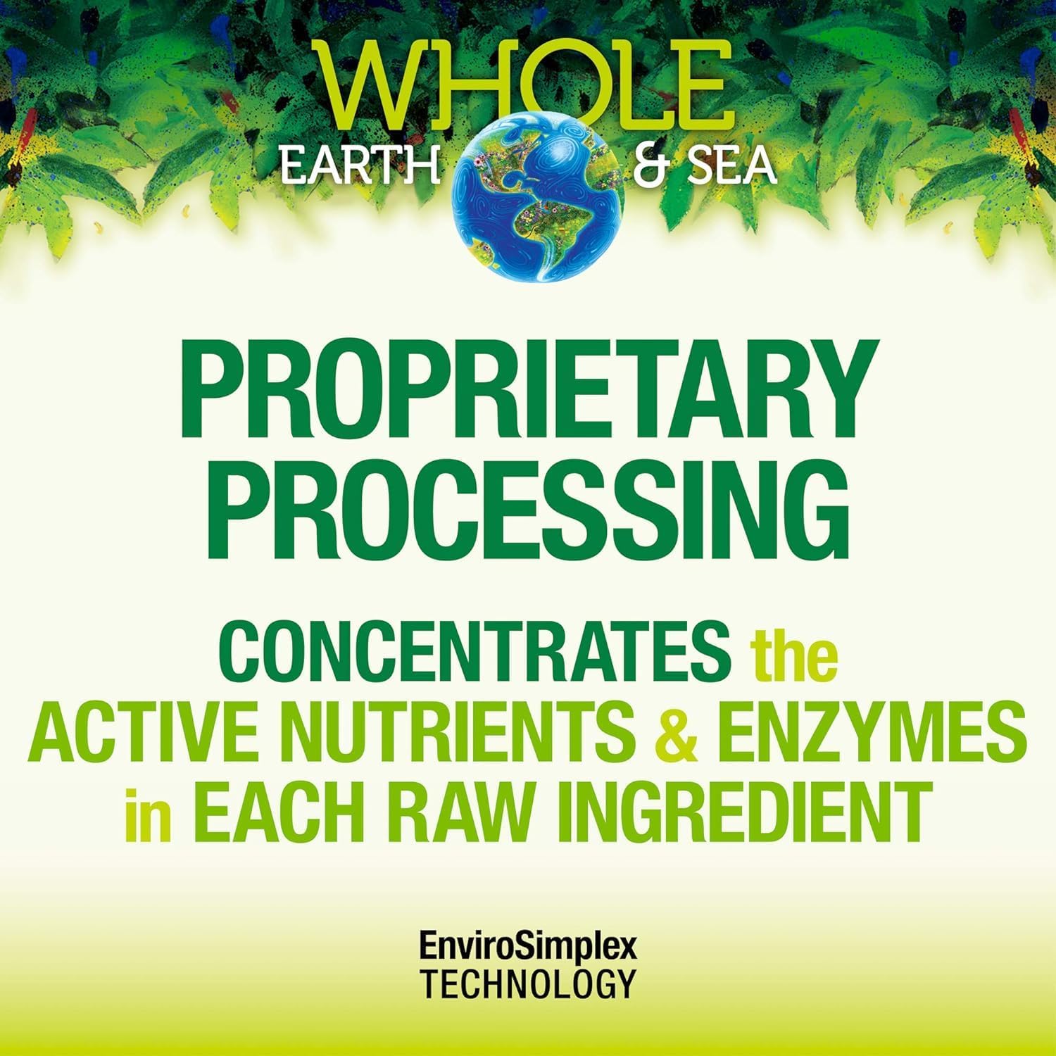 71nbCGk1HL._AC_SL1500_.jpg Whole Earth & Sea from Natural Factors, Organic Fermented Protein & Greens, Vegan Whole Food Supplement, Chocolate, 1lb 9 Oz - Image 6