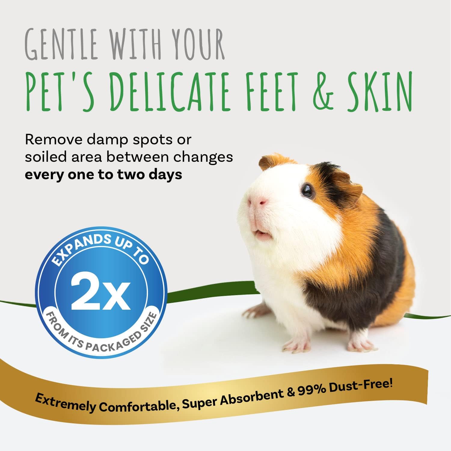 71oe-t3aTeL._AC_SL1500_.jpg Small Pet Select Premium Natural Aspen Bedding, Animal Bedding for Small Indoor and Outdoor Pets, Made in The USA, Jumbo Size 282 L (2 Pack, 141 L Each) - Image 5