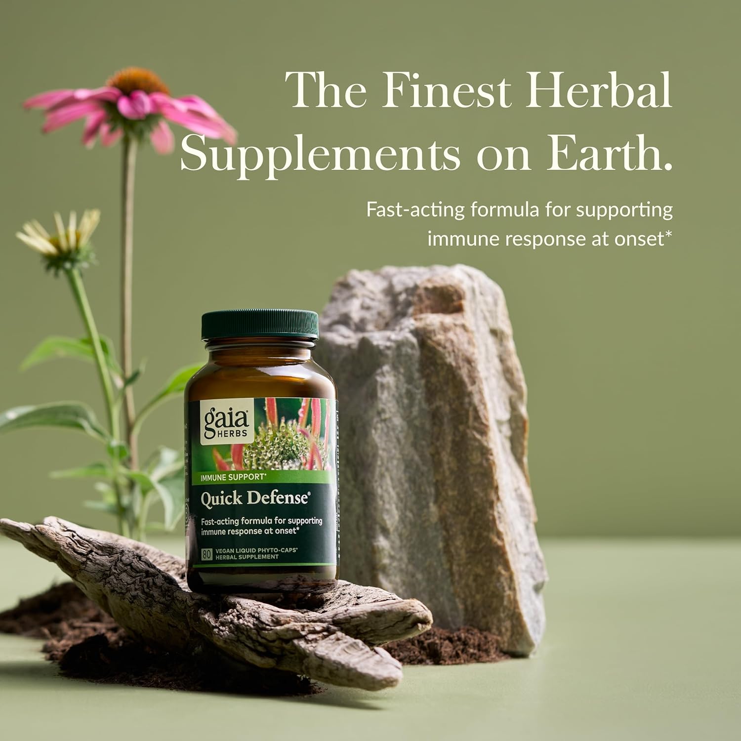 81-BzdLi5IL._AC_SL1500_.jpg Gaia Herbs Quick Defense - Fast-Acting Immune Support Supplement for Use at Onset of Symptoms - with Echinacea, Black Elderberry, Ginger & Andrographis - 80 Vegan Liquid Phyto-Capsules (8-Day Supply) - Image 3
