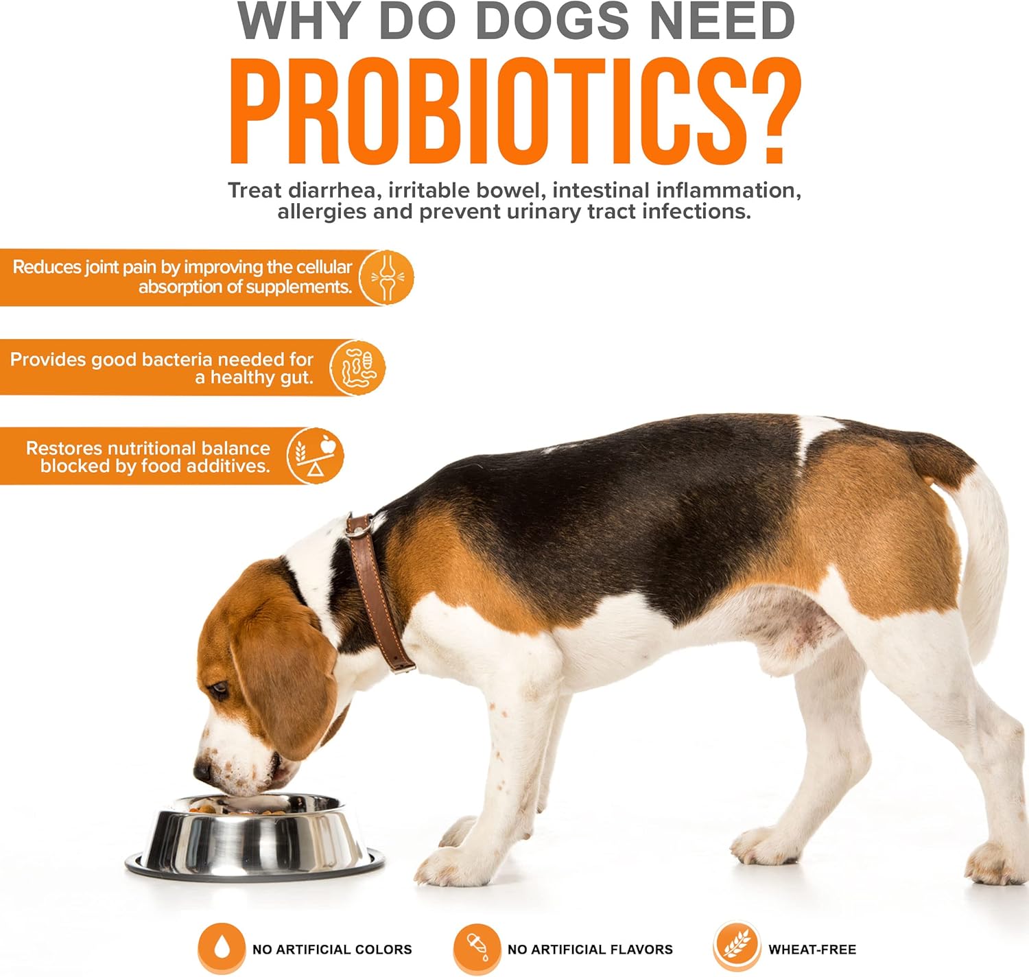 815GOIcyrBL._AC_SL1500_.jpg Turkey Tail Mushroom for Dogs Immune Support Bundled with Probiotic Nutrient Enhancer - Image 6