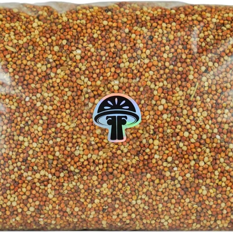 | NUTRIMIX Grain Spawn Bag for Mushrooms (9 LBS) | Perfectly Sterilized & Moisture-Balanced Grain | Ideal Base for Fruitful Mushroom Cultivation | Crafted for Superior Mycelium Growth